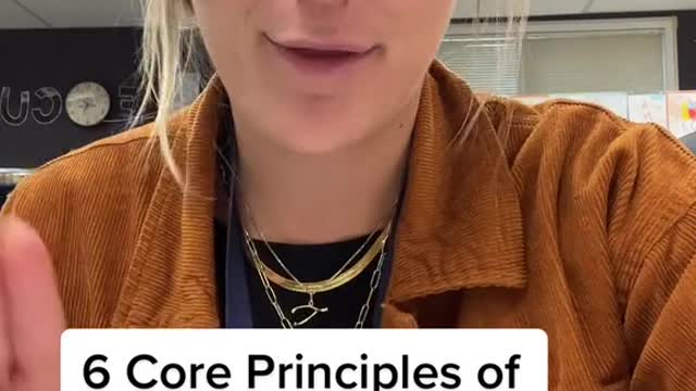 What do you think of these principles and what should they look like in our classrooms?