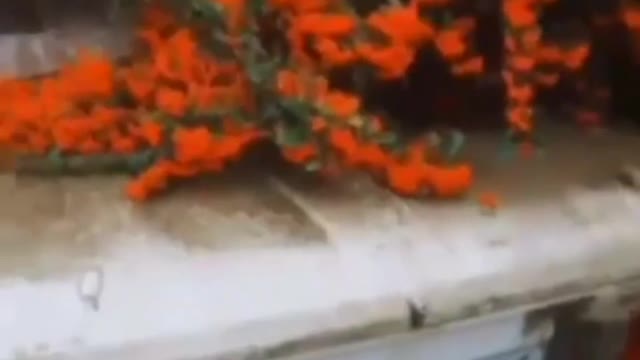 🥀Молодое движение 🥀
