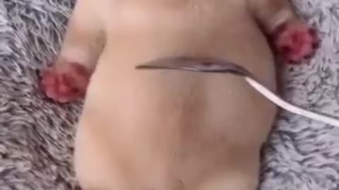 Sooooo cute 😍😍