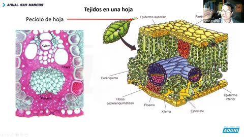 ANUAL ADUNI 2023 | REFORZAMIENTO 05 | BIOLOGÍA