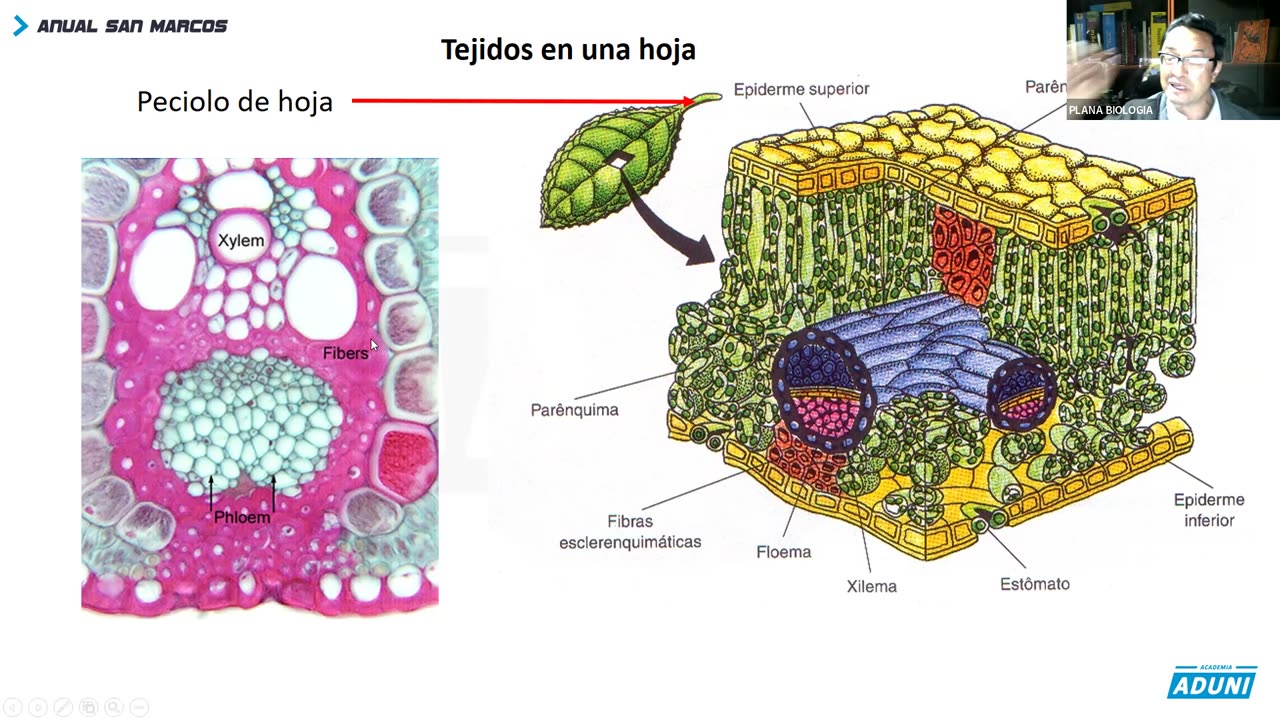 ANUAL ADUNI 2023 | REFORZAMIENTO 05 | BIOLOGÍA