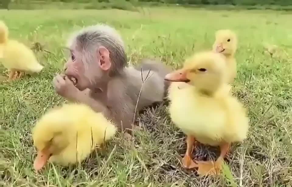 Amazing Bonding | Great to See