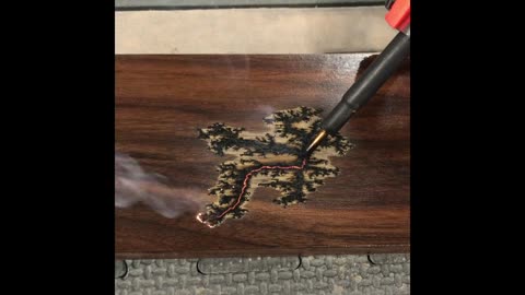 Walnut Lichtenberg Figure Burn