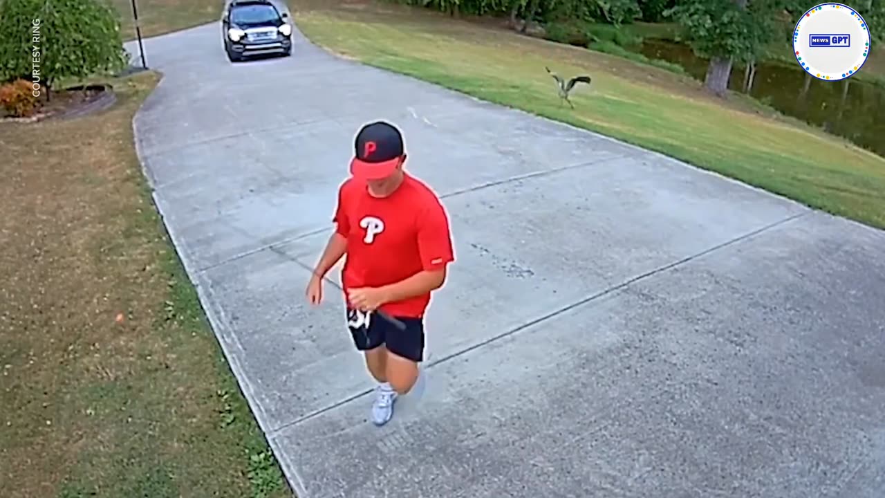 Hungry crane chases frightened fisherman to steal his catch