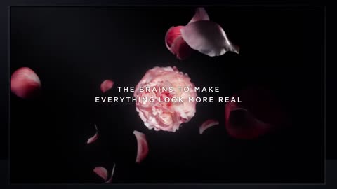 LG SIGNATURE OLED TV W - Vivid color to make every scene more real.