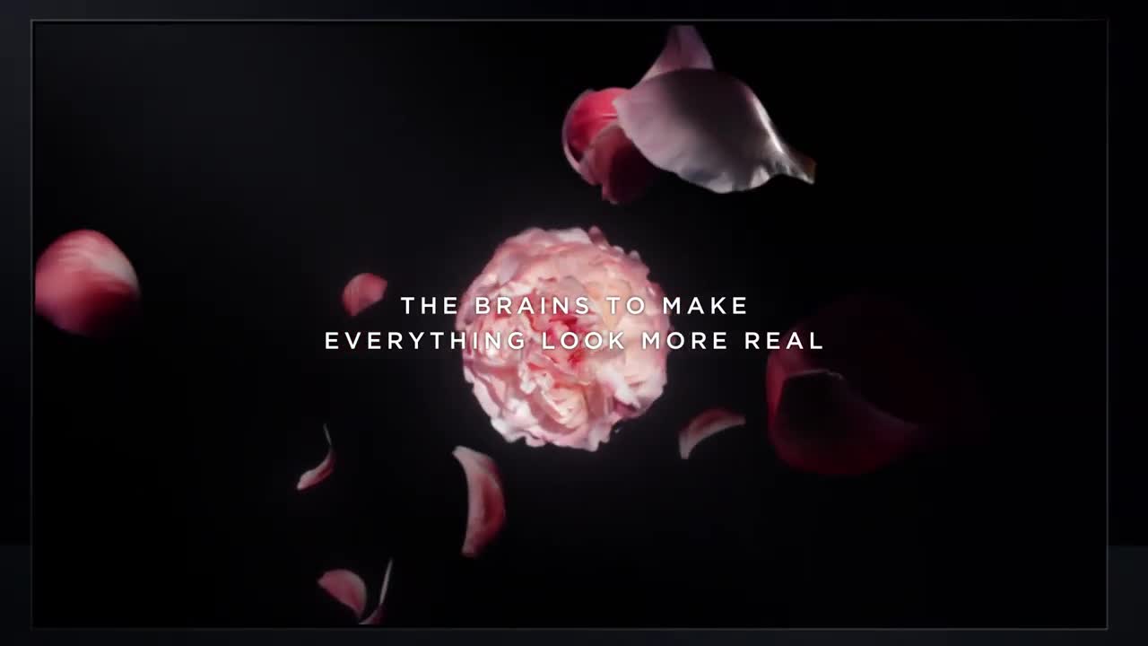 LG SIGNATURE OLED TV W - Vivid color to make every scene more real.