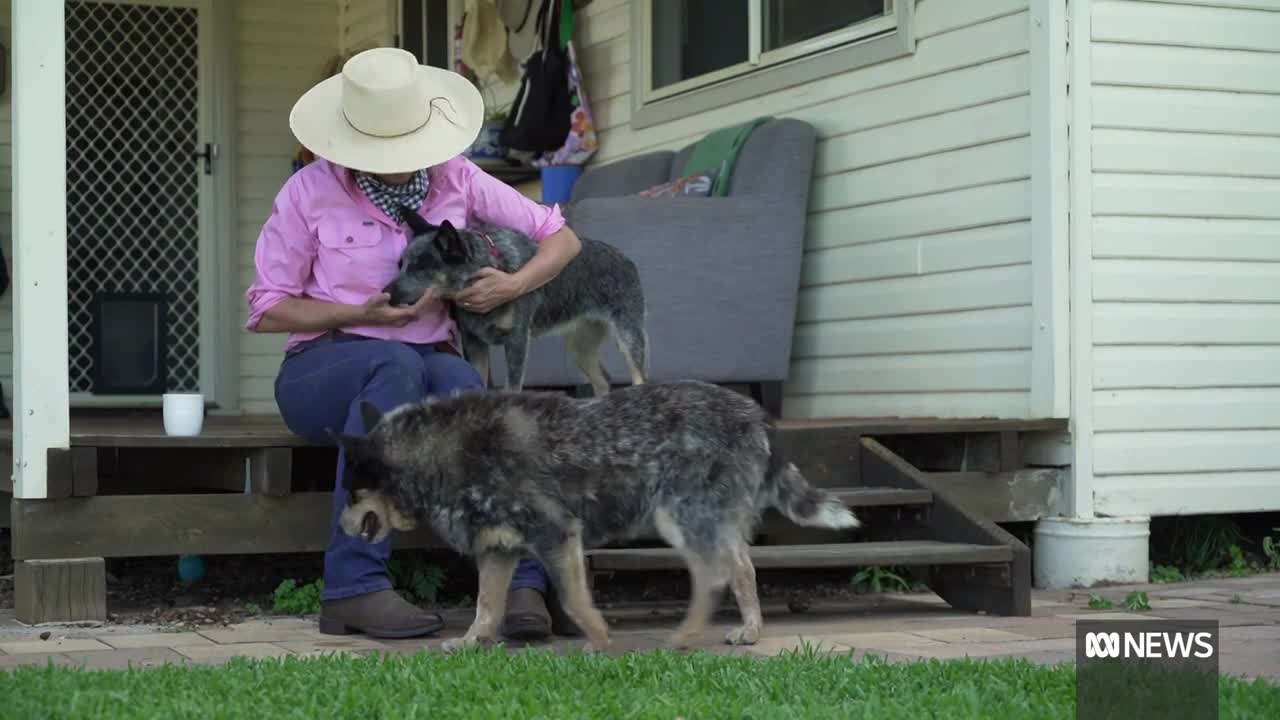 New program to support going sober in the bush _ ABC News