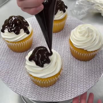 Decorating the Cake Case: Tips and Tricks for a Beautiful Finish