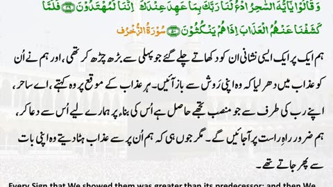 The Daily Quran