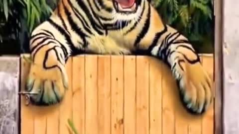 art on the street 🐯🐅👍👏🤩🤩😍 shorts
