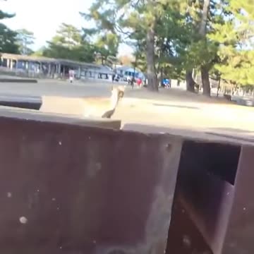 Hide🙈And👀Seek😎