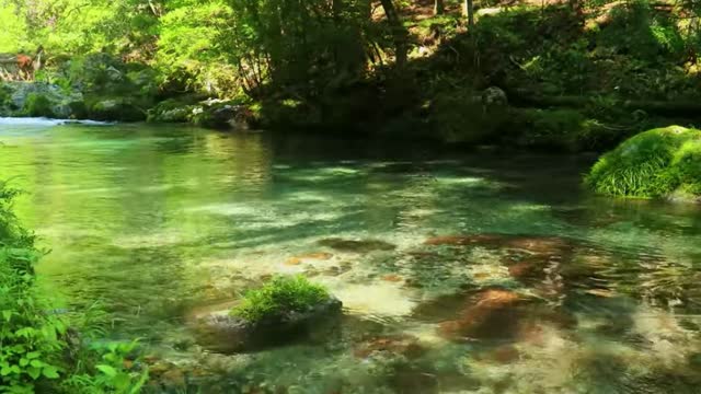 Calming Peaceful Relaxing Rain River Zen Meditation