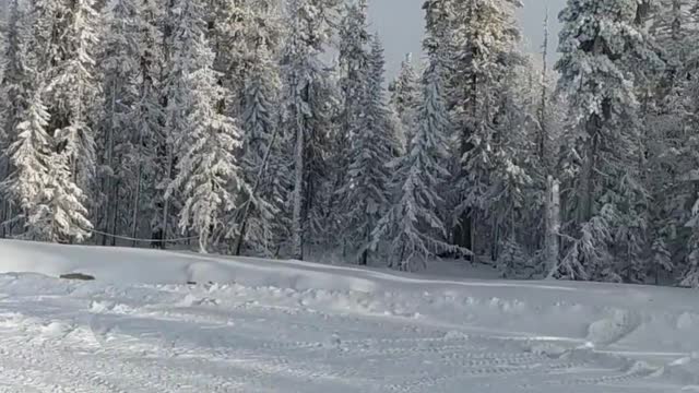 Красота зимней природы