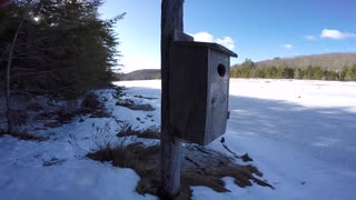 Nesting Box