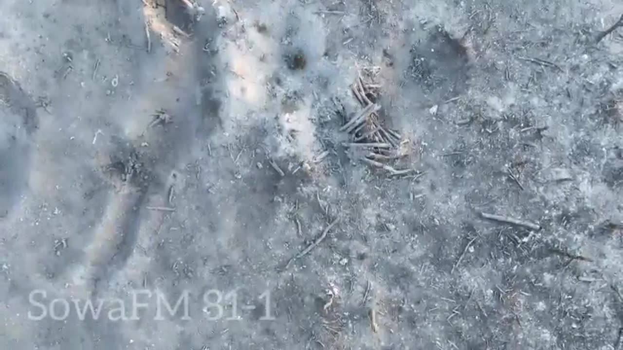 Ukrainian unit SowaFM 81-1 take out RU platoon with accurate drone drops and small arms fire