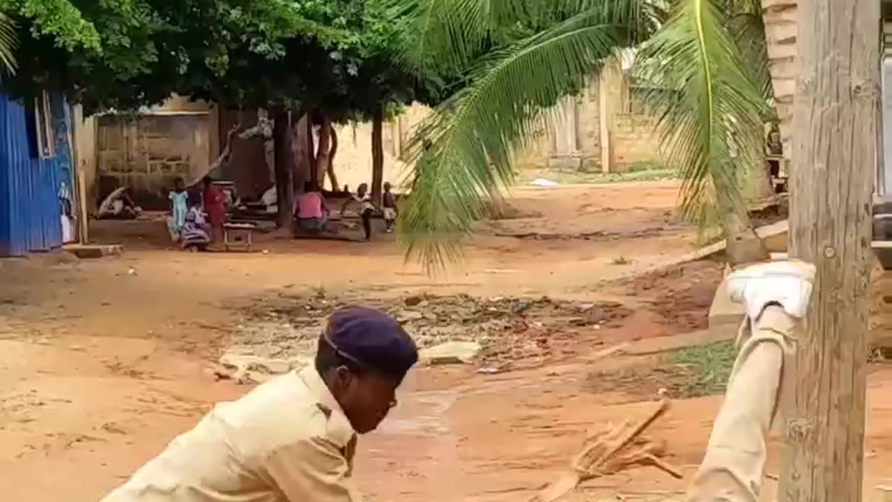 entertainment comedy video