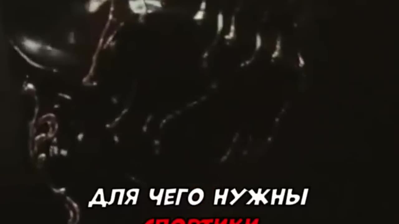 ДЛЯ ЧЕГО НУЖНЫ СПОРТИКИ??? Как ими наказывают??