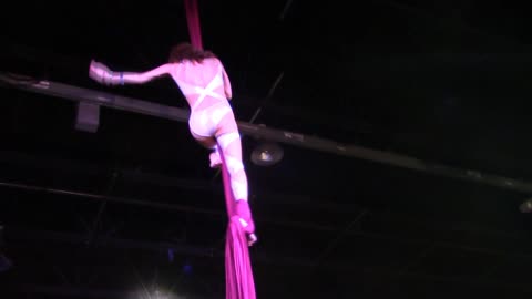 Exxxotica Expo Chicago 2022 PEPPERMINT AERIAL SILKS PERFORMANCE