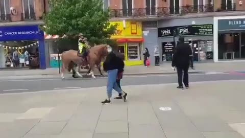 Anti LGBT Horses💪💪😂😂