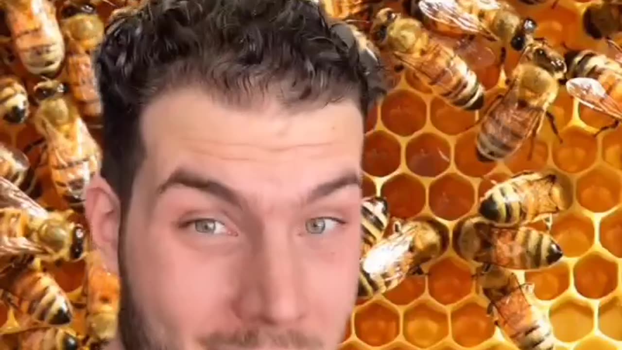 food honey