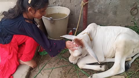 Funny girl playing cow