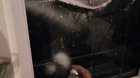 painting with snow spray