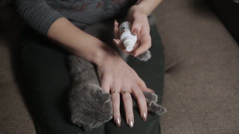 Woman sprays the affected areas of ringworm in a kitten