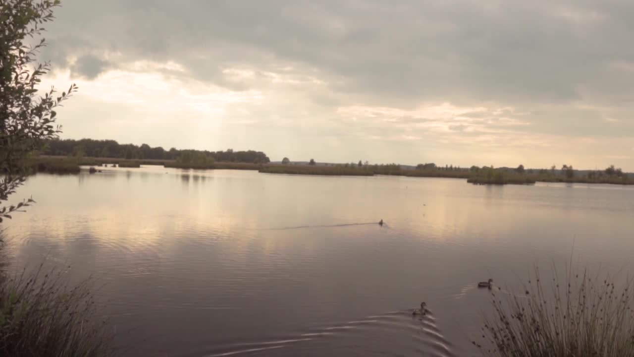 Nature Water Sunset Clouds Lake Ducks Animals