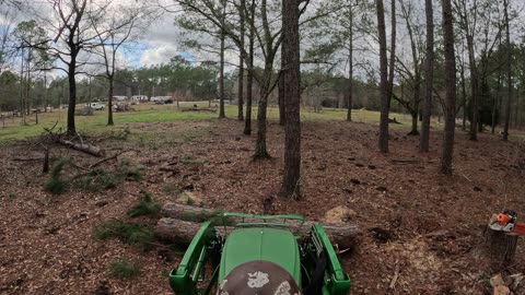 JD 3025E Tree cleanup