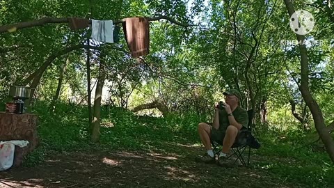 Sun 🌞 day afternoon under the trees 🌴🌳🌲🌿