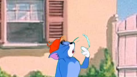Tom &Jerry cartoon shorts #funny #funnyvideos #fun #comedy
