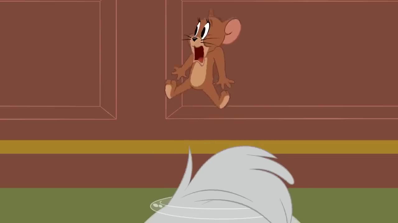 Tom and Jerry Muizenjacht Cartoonito