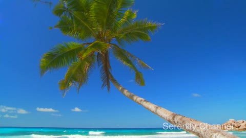 Gorgeous beach in Seychelles