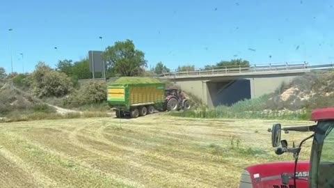 CRC vídeos curiosos