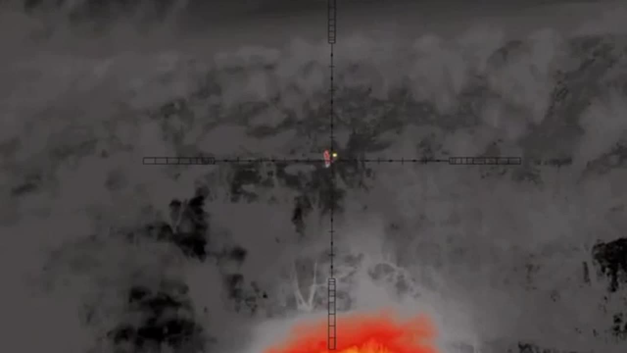 Russian Soldiers Make it too Easy for Ukrainian Snipers