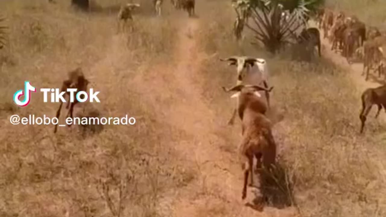 😅😅😅😅😅😅😅