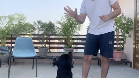 SIMPLE STEPS TO TRAIN YOUR DOG TO BARK (Speak)