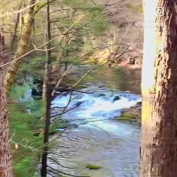 OBSTACLE ON WAY TO WATERFALL