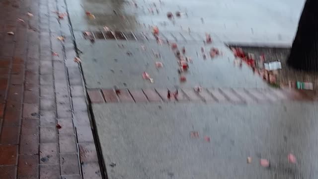 Washington blvd
