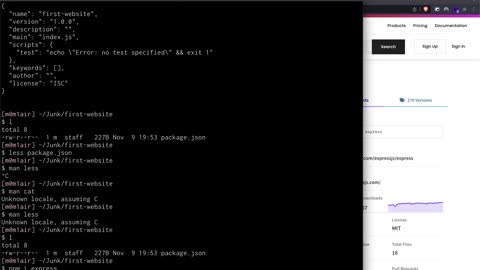 A gentle introduction to Nodejs & Express