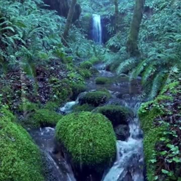 Relaxing Rain Noise + Forest Stream | 10-Hour Version on Our Channel!