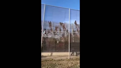 We are being invaded!