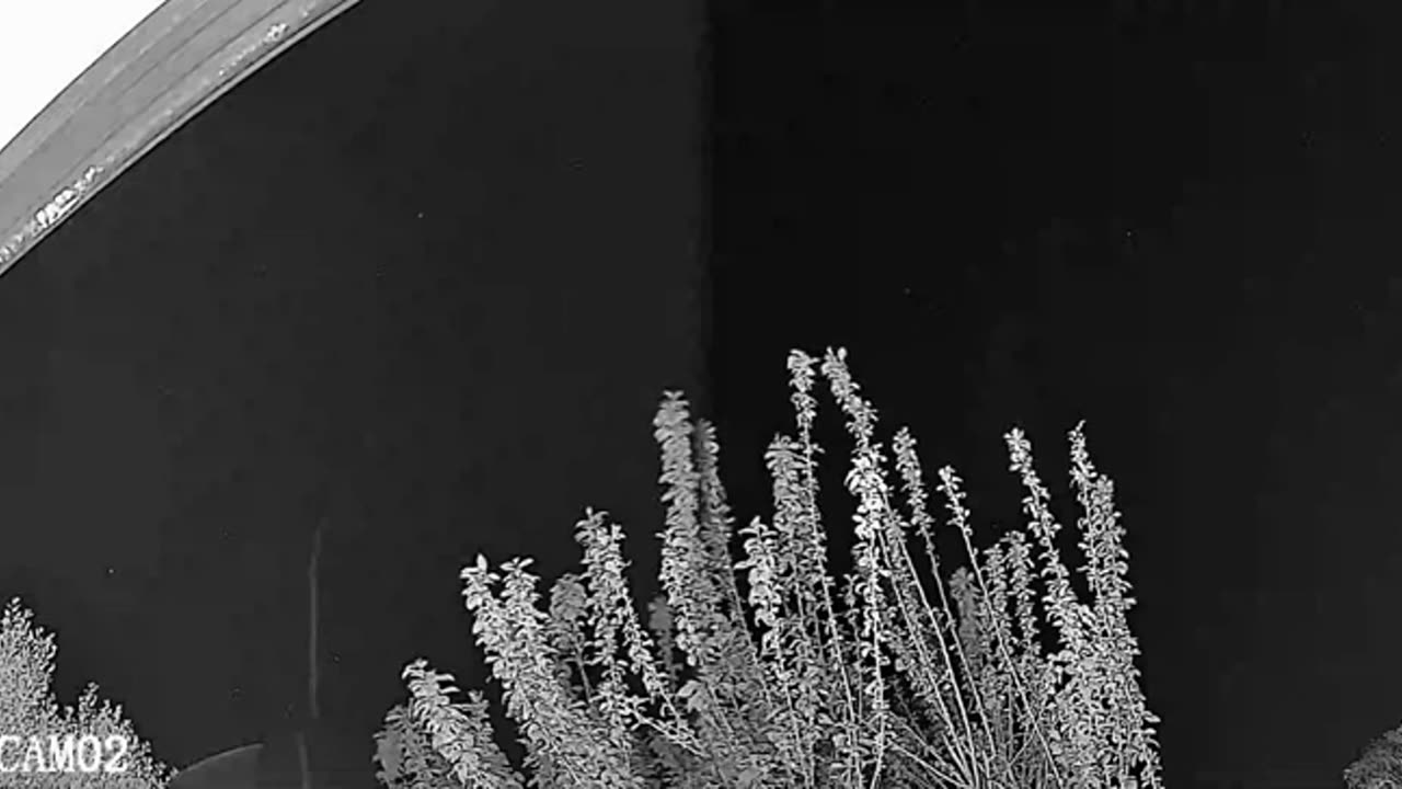 What is that floating streak in the sky - nope not Web but reflection of branch a moth flies off
