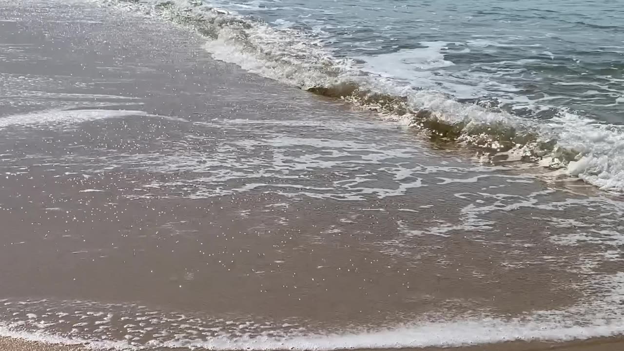 2/10 - Baia dos Golfinhos | Governador Celso Ramos - SC