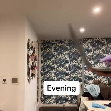 Digital Nomads: Embracing the Freedom of Remote Work