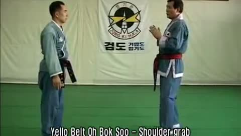 True AUTHENTIC Hapkido