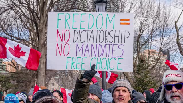 the revelation of the machines