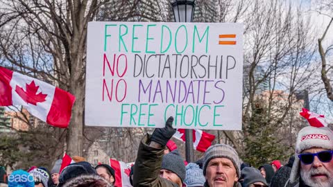 the revelation of the machines