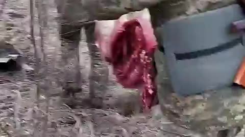 Ukrainians Go Out For Lunch