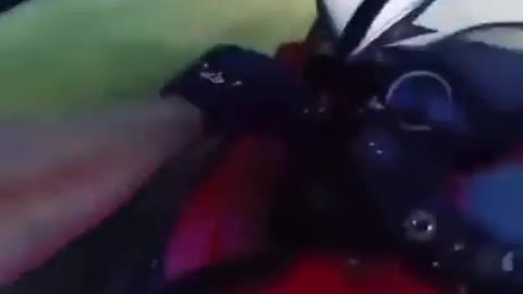 whooaa, dont mess with a biker